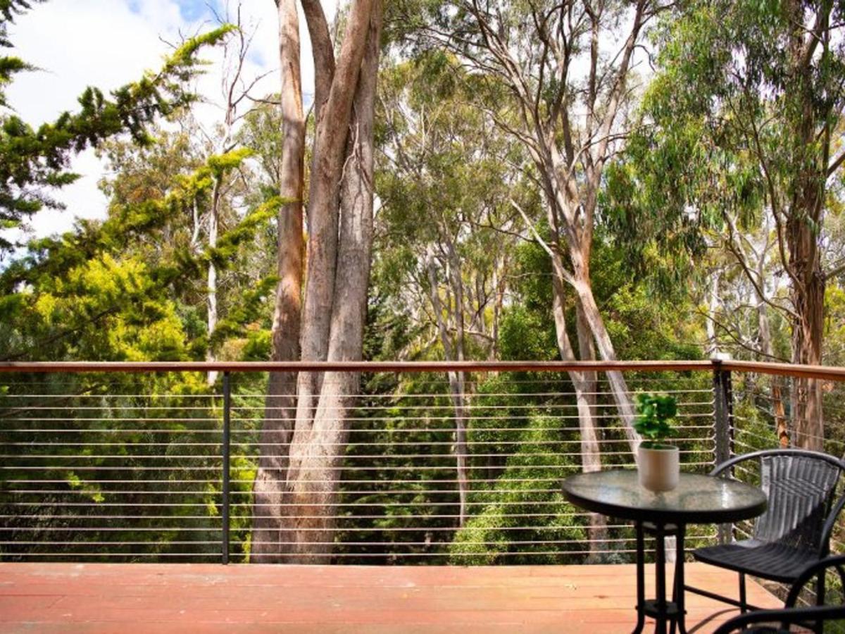 Serena Daylesford Esterno foto